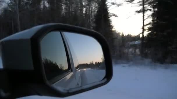 Der Magische Kiefernwald Der Seitenspiegel Eines Fahrenden Autos Finnland Schimmert — Stockvideo