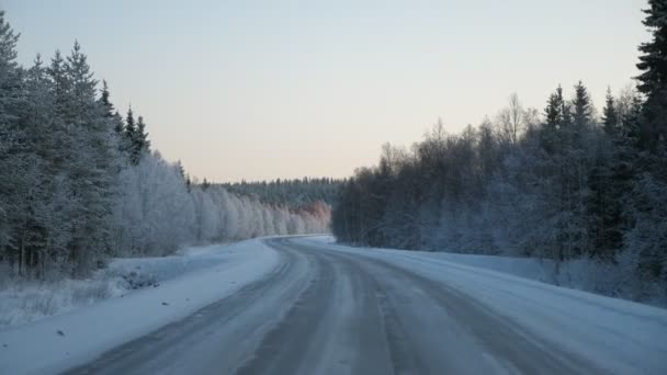 Frosty Snaky Highway Wriggling Gradually Dense Pine Forest Finland Impressive — Stock Video