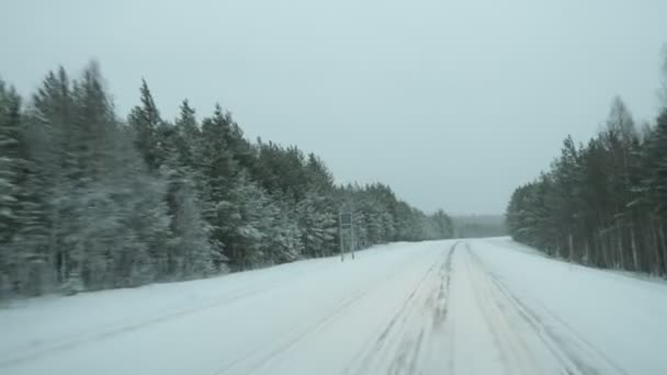 Schneebedeckter Highway Mit Hohen Fichten Umgeben Von Einem Schnell Fahrenden — Stockvideo