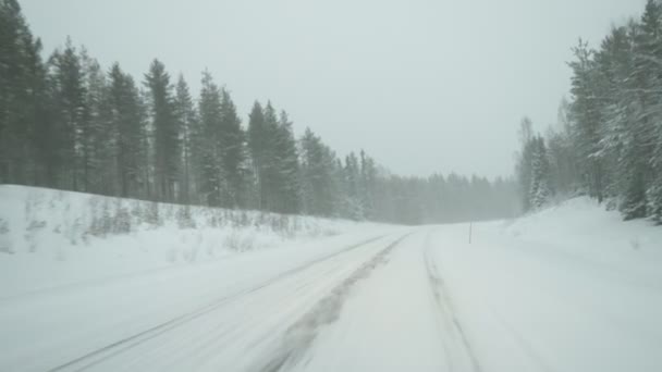 芬兰冬季多雪的松树和冷杉密布的乡间小路冬季芬兰冬季的公路上覆盖着厚厚的积雪 这是一条雪地的乡间公路 美丽的景象 看起来很迷蒙 — 图库视频影像