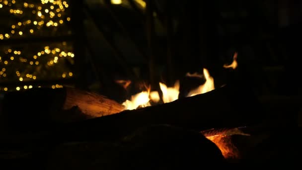 Brûler Des Grumes Avec Feu Vif Extérieur Sapin Festif Finlande — Video