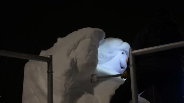 Finlandiya Gece Vakti Havuçla Kardan Adam Yapan Sanatçı Profesyonel Bir — Stok video