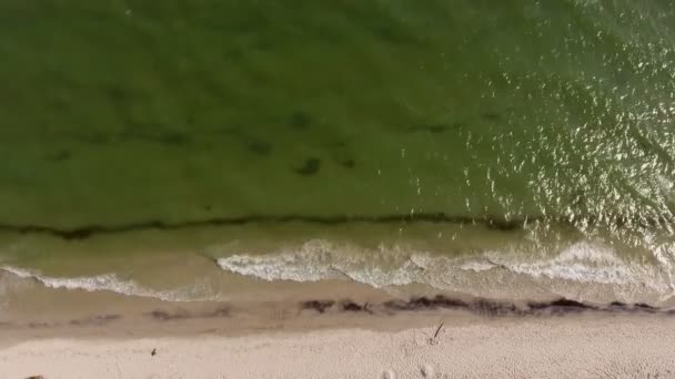 Luchtfoto Van Rechte Zwarte Zee Strand Met Groene Golven Onkruid — Stockvideo