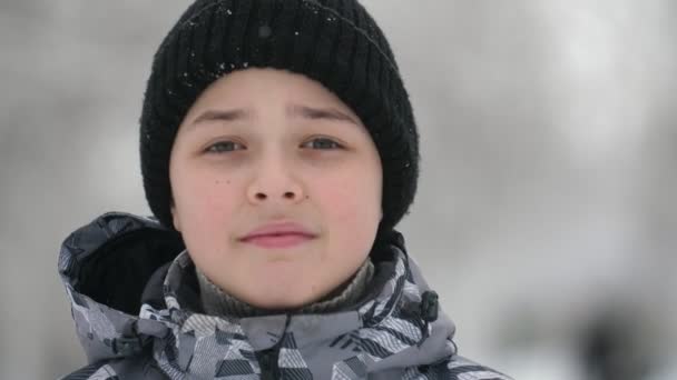 Φρέσκο Αγόρι Στέκεται Και Σκέφτεται Ένα Χιονισμένο Πάρκο Μια Ηλιόλουστη — Αρχείο Βίντεο