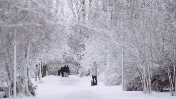 冬には高い木でいっぱいの雪の公園を歩く観光客のグループスローモーションで冬には雪の公園で高い木と大きな公園でハイキングの人々のチームの印象的なビュー それは美しく うまく見えます — ストック動画