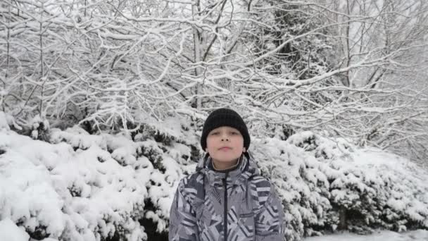 楽しい少年は雪玉を保持し スローモーションで冬の木に投げます黒い帽子とフーディジャケットの幸せな少年の壮大な景色雪を維持し 成形し スローモーションで冬の木の中で陽気にそれを投げます — ストック動画