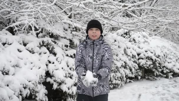 Ragazzo Divertente Che Modella Palle Neve Getta Nel Bosco Invernale — Video Stock