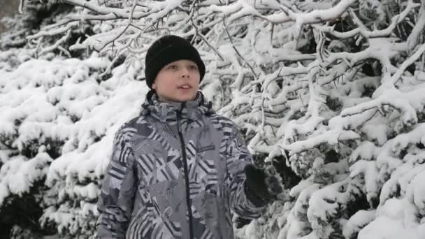 Niño Feliz Caminando Jugando Con Ramas Madera Invierno Cámara Lenta — Vídeos de Stock