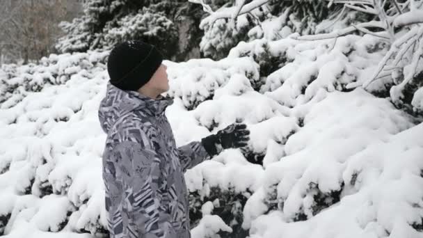 Маленький Мальчик Играет Снежной Веткой Лесу Зимой Замедленной Съемке Захватывающий — стоковое видео