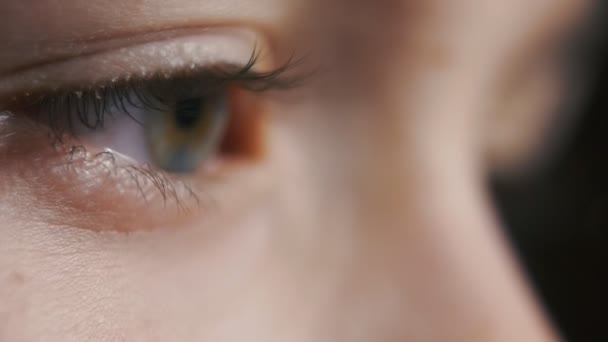 Happy Brunet Boy Eyes Olhando Piscando Com Otimismo Diversão Estúdio — Vídeo de Stock