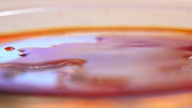 Modern bir laboratuvarda büyük bir sosun üzerine yumuşak bir yüzeyle düşen tıbbi sıvı Coronavirus 'u modern bir laboratuvar ortamında pürüzsüz bir yüzeye sahip büyük bir sos üzerinde test etmek için kullanılan parlak tıbbi sıvının yuvarlanan damlalarının heyecan verici yakın çekimi.