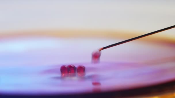 Minuscules Gouttes Sang Rouge Tombant Une Aiguille Métallique Sur Une — Video