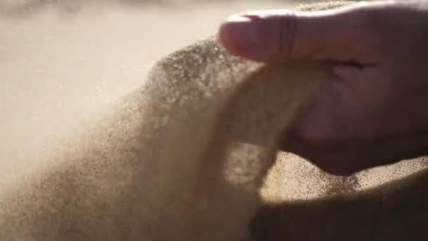 손으로 모래를 일으키고 사막에서 즐기며 손으로 뜨거운 모래를 올리고 그것을 — 비디오