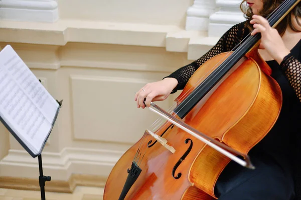 Klasická hudba. Hraje violoncello. — Stock fotografie