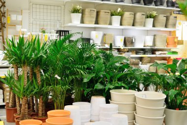 Rostov-On-Don, Rusya-Aralık, 2016: IKEA mağazası Oda, ofis 