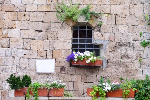 Janela em uma parede velha com flores interiores — Fotografia de Stock