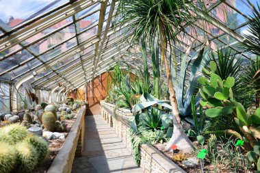 Wroclaw, Polonya - Haziran, 2017: İç tropikal Hall 