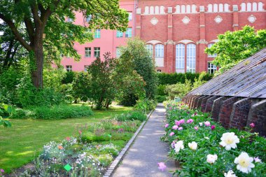 Wroclaw, Polonya - Haziran, 2017: Botanik Bahçe Wroclaw. 