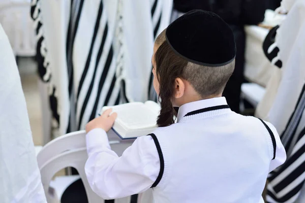 Jerusalem, İsrail - Nisan 2017: Yahudi hasidic dua bir Wester — Stok fotoğraf