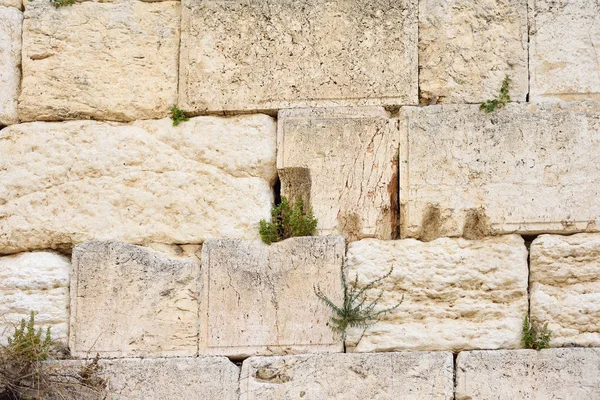 De westelijke muur of Wailing wall is de heiligste plaats tot het Judaïsme in de oude stad van Jeruzalem, Israël. — Stockfoto