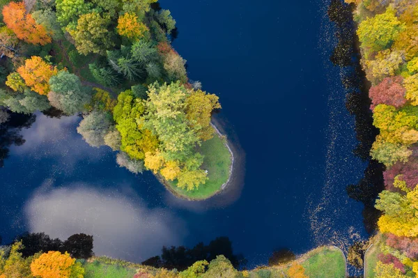 stock image Forest Edge Over Lake. Top Down Drone Aerial Image. Vibrant Autumn Colors.