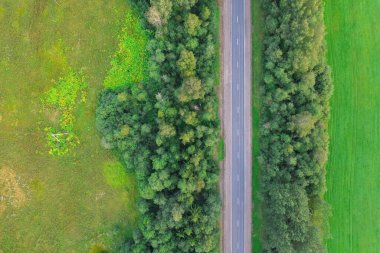 Road in the colored summer forest aerial view clipart