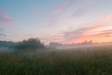 Muhteşem günbatımı ve sis tüm alana yayılıyor, Leningrad bölgesi, Rusya