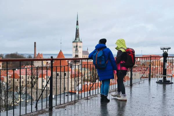 Люди Смотрят Панораму Старого Города Таллинна Смотровой Площадки — стоковое фото