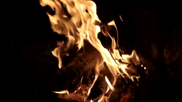 Kamp ateşi bir siyah arka plan üzerinde alevler, 4 k'dan fazla yakın çekim — Stok video