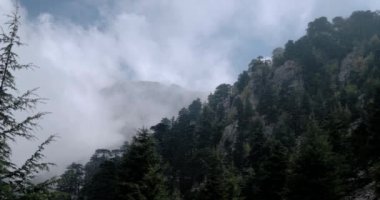 Cennet zaman atlamalı dağ orman üzerinde