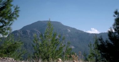 Yürüyüşçüler büyük sırt çantaları ve Trekking Polonyalılar, kamera tarafından geçer