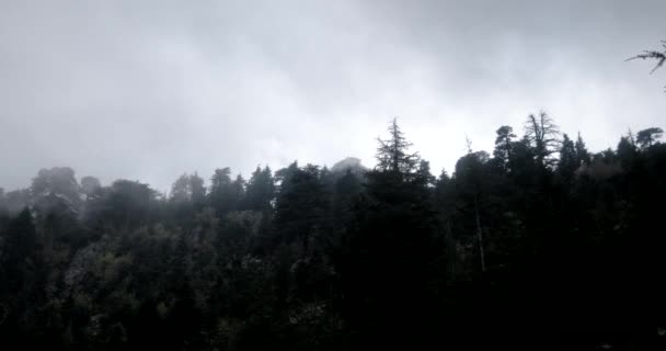 Tempo di nuvolosità Lasso sopra la foresta di montagna — Video Stock