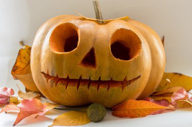 Cadılar Bayramı korkutucu yüz balkabağı beyaz arka plan üzerinde