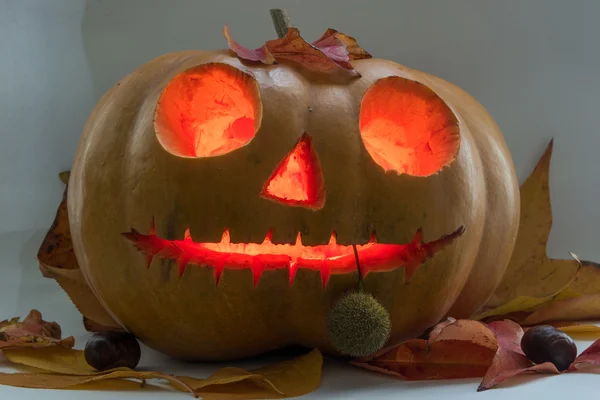 Cadılar Bayramı korkutucu yüz balkabağı beyaz arka plan üzerinde