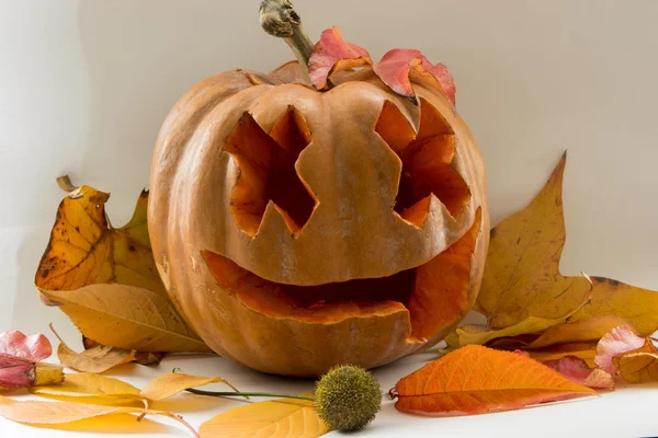 Cadılar Bayramı korkutucu yüz balkabağı beyaz arka plan üzerinde