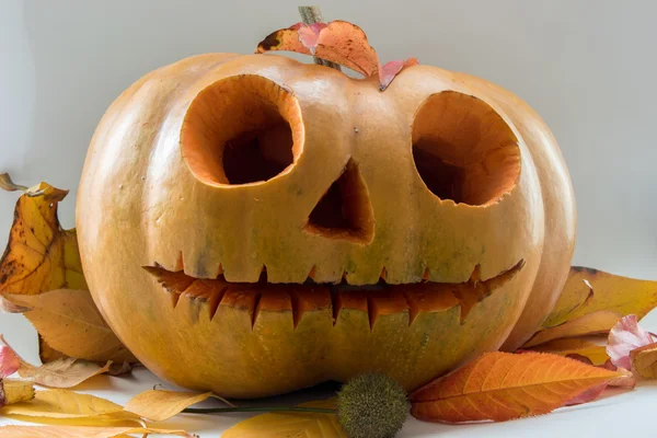 Cadılar Bayramı korkutucu yüz balkabağı beyaz arka plan üzerinde