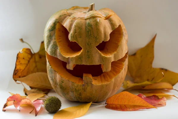 Cadılar Bayramı korkutucu yüz balkabağı beyaz arka plan üzerinde