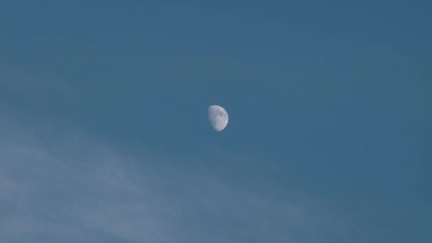 Mond trifft Düsenflugzeug, das Treibstoffspur gegen blauen Himmel fliegt — Stockvideo