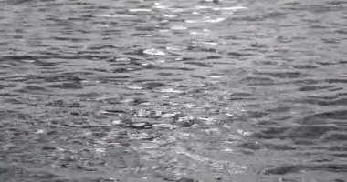 Parlak ve deniz yüzeyi parıldayan bir çakıl taşı sahil şeridi üzerinde inişli çıkışlı dalgalar