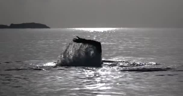 Силуэт человека, тонущего в море на закате — стоковое видео