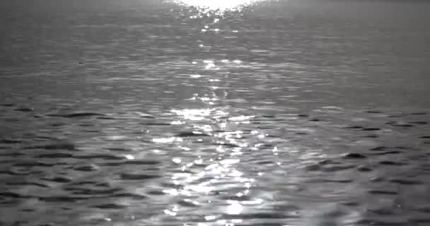 Искрящаяся свежая волнистая морская вода светит солнечным летом — стоковое видео