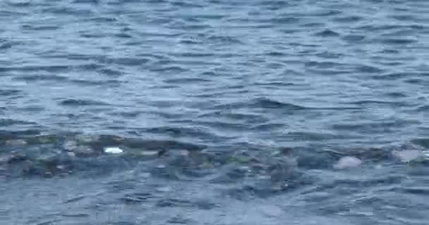 ギラギラと輝く海面と小石の海岸ラインで圧延波 — ストック動画