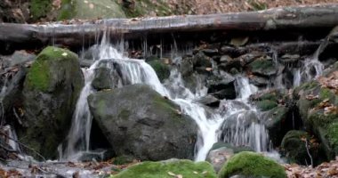 Sarı yapraklar ve yosunlu kayalar ile dağlar sonbahar ormandaki bir şelale