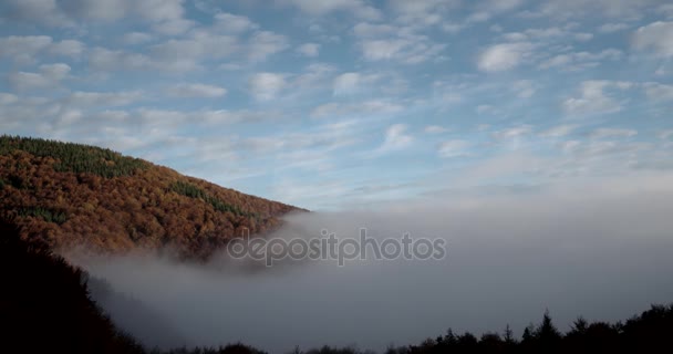 Magnifico autunno mattina nebbia sorge sopra la foresta in montagna — Video Stock