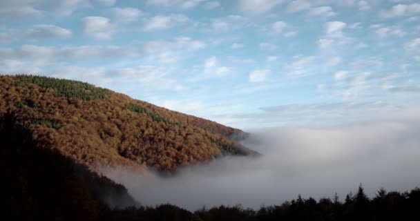 Magnifico autunno mattina nebbia sorge sopra la foresta in montagna — Video Stock