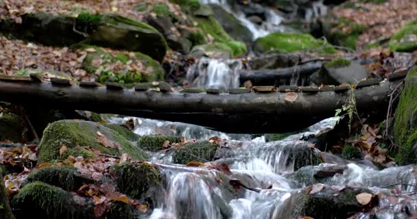 Vodopád v lese podzim hory s žluté listy a mechem obrostlými skalami