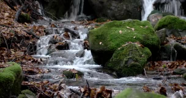 Sarı yapraklar ve yosunlu kayalar ile dağlar sonbahar ormandaki bir şelale — Stok video