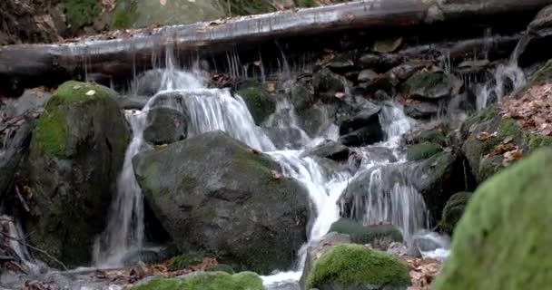 Uma cachoeira nas montanhas Floresta de Outono com folhagem amarela e rochas musgosas — Vídeo de Stock