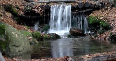 Sarı yapraklar ve yosunlu kayalar ile dağlar sonbahar ormandaki küçük bir şelale