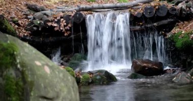 Sarı yapraklar ve yosunlu kayalar ile dağlar sonbahar ormandaki küçük bir şelale